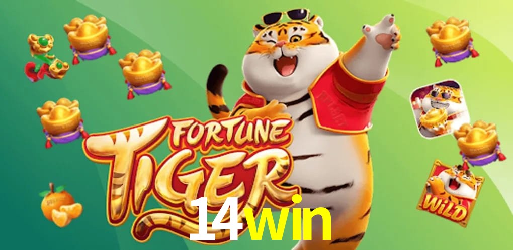 Experiência VIP 14win